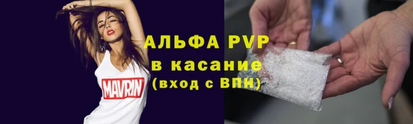 стафф Арсеньев