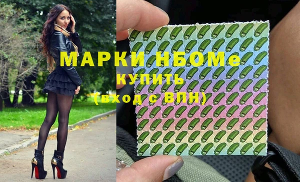 прущие грибы Алзамай